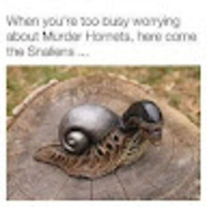 Meet your Posher, Colin